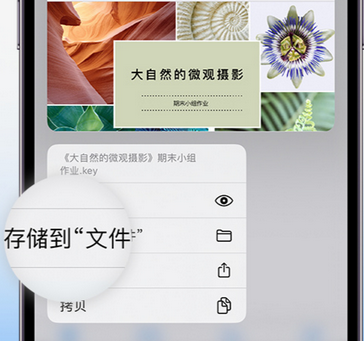 依兰apple维修中心分享iPhone文件应用中存储和找到下载文件