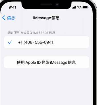 依兰apple维修iPhone上无法正常发送iMessage信息 