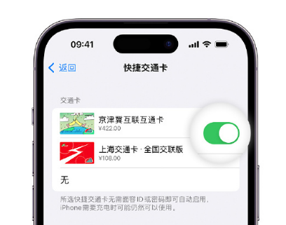 依兰apple维修点分享iPhone上更换Apple Pay快捷交通卡手绘卡面 