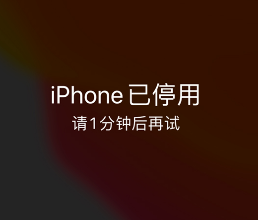 依兰苹果手机维修分享:iPhone 显示“不可用”或“已停用”怎么办？还能保留数据吗？ 