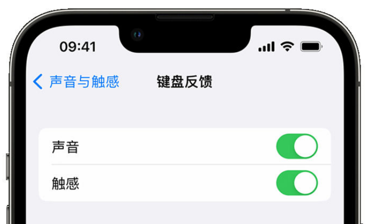 依兰苹果手机维修分享iPhone 14触感键盘使用方法 