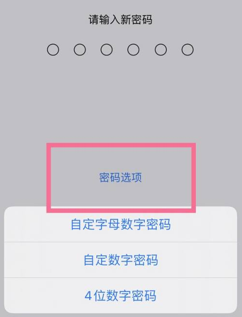 依兰苹果14维修分享iPhone 14plus设置密码的方法 