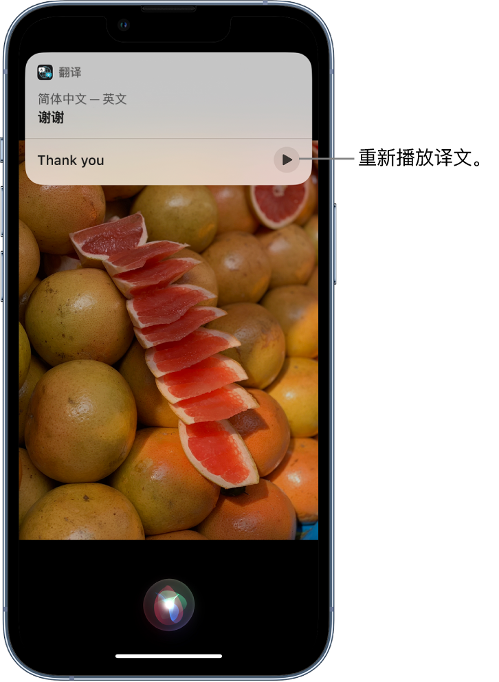 依兰苹果14维修分享 iPhone 14 机型中使用 Siri：了解 Siri 能帮你做什么 