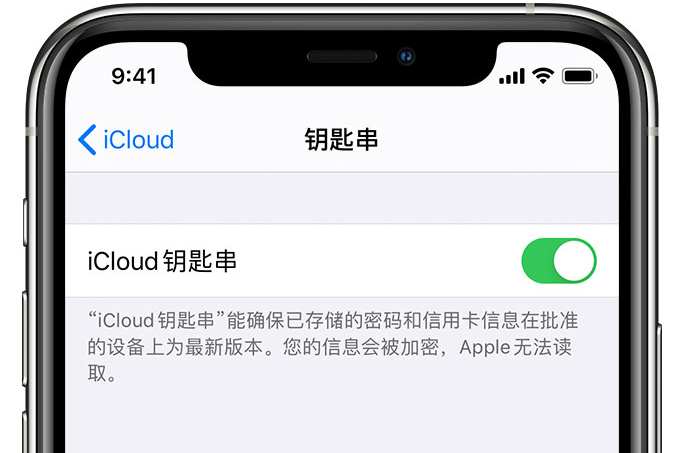 依兰苹果手机维修分享在 iPhone 上开启 iCloud 钥匙串之后会储存哪些信息 