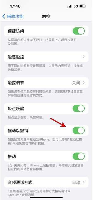 依兰苹果手机维修分享iPhone手机如何设置摇一摇删除文字 